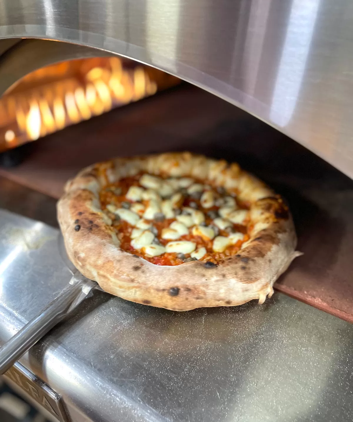 Torna Mica Pizza e Fichi, una nuova avventura per Alfa Forni