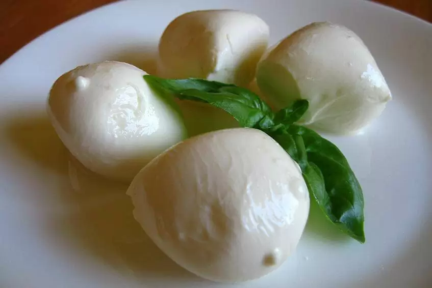 A bit of facts about the mozzarella