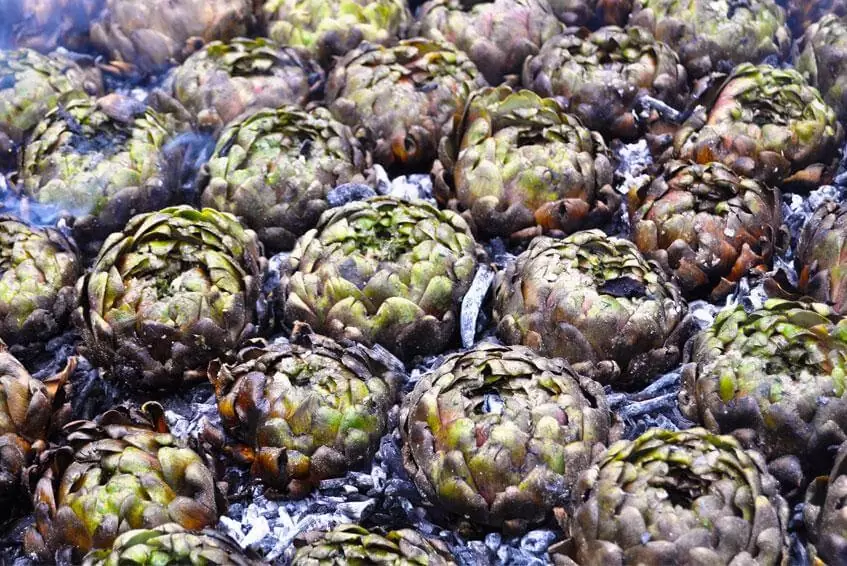 I carciofi alla matticella