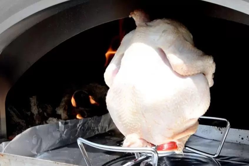 Chicken - an excellent meat | Alfa Forni Chicken - an excellent meat