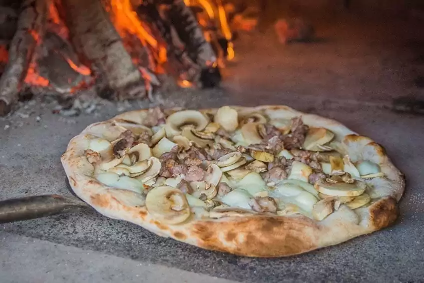 Wild traditional mushroom pizza