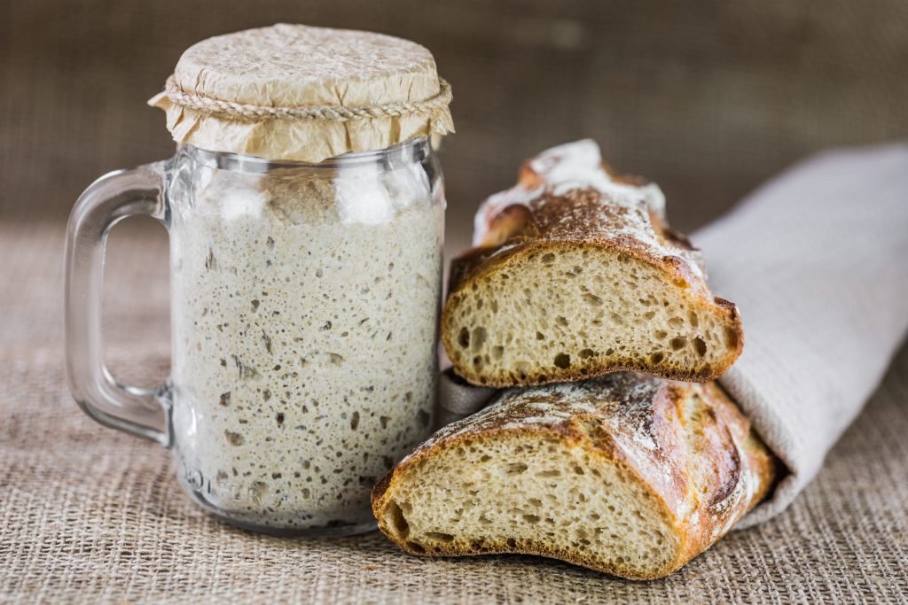 Home-made sourdough starter and brewer’s yeast. How to make them, how to use them, which one you should choose and why. | Alfa Forni