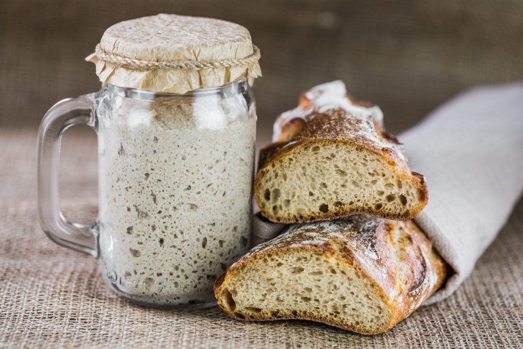 Levain naturel et levure de bière faits maison Comment les préparer, comment les utiliser, lequel choisir et pourquoi. | Alfa Forni