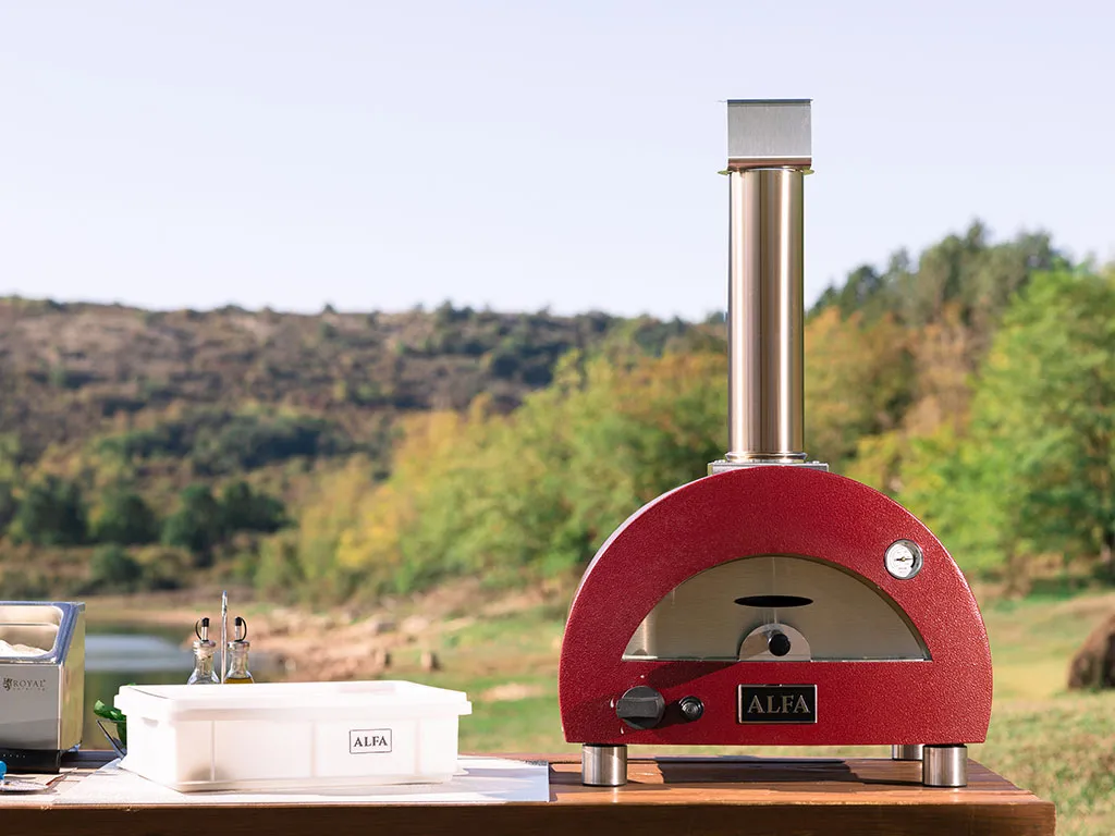 10 idee regalo per gli amanti della pizza (e non solo) by Alfa Forni
