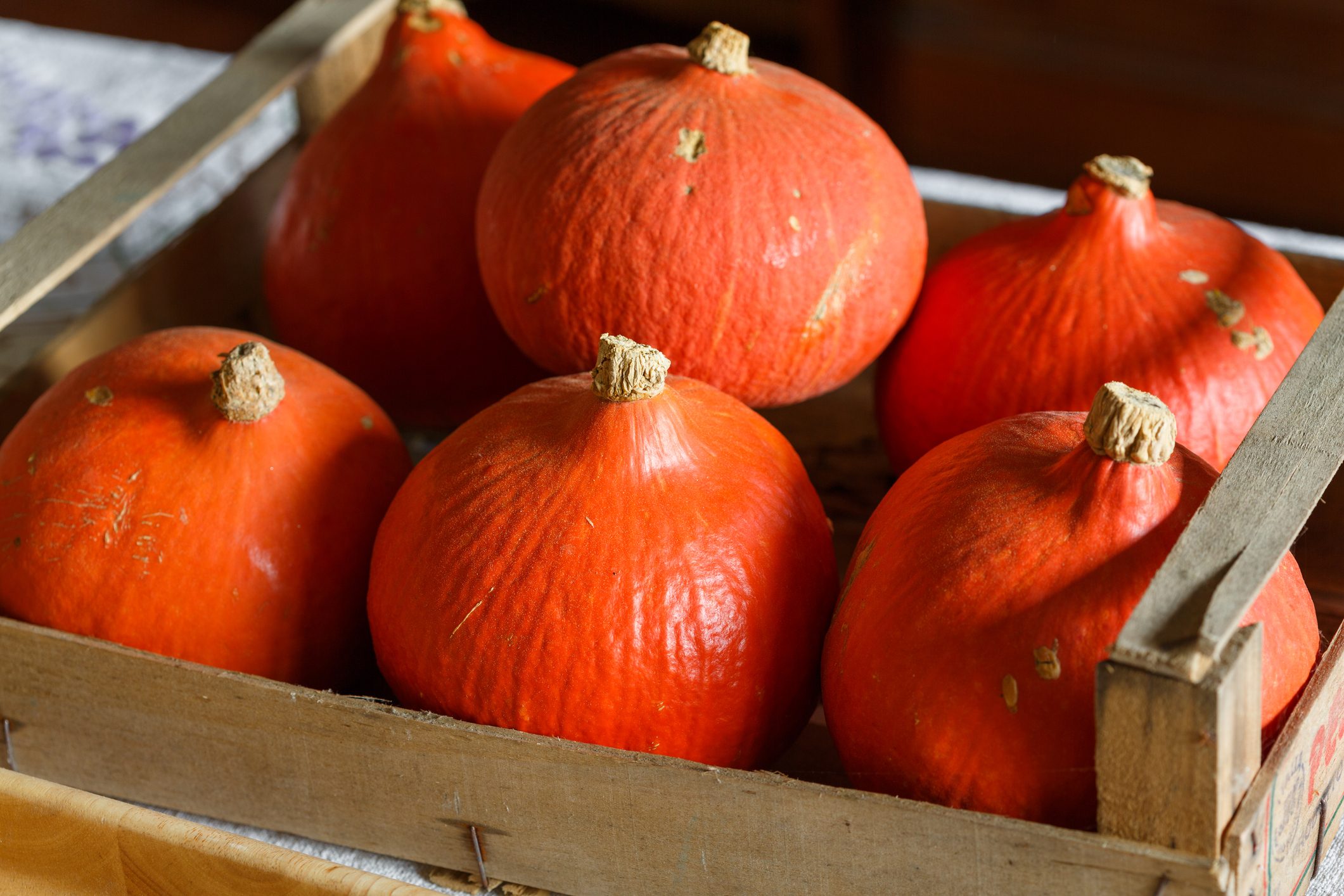 Zucca-hokkaido Ricette Stagionali per Affrontare l’arrivo dell’autunno con Alfa